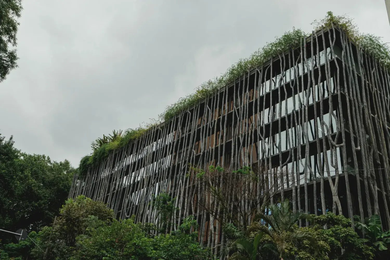 darwin-boaventura-B-g6XCGQkc0-unsplash