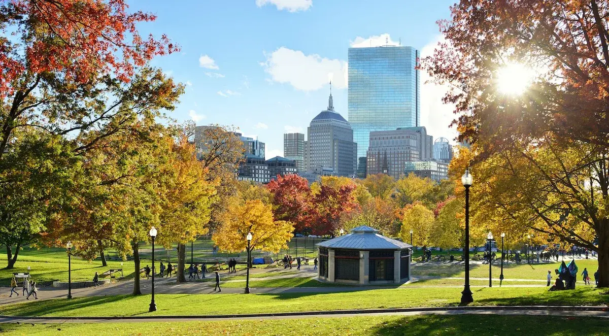 How to Optimize Natural Light for Healthier and Happier Boston Workspaces